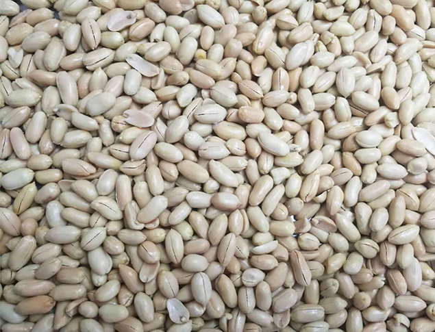 好料
