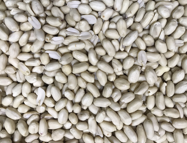 好料