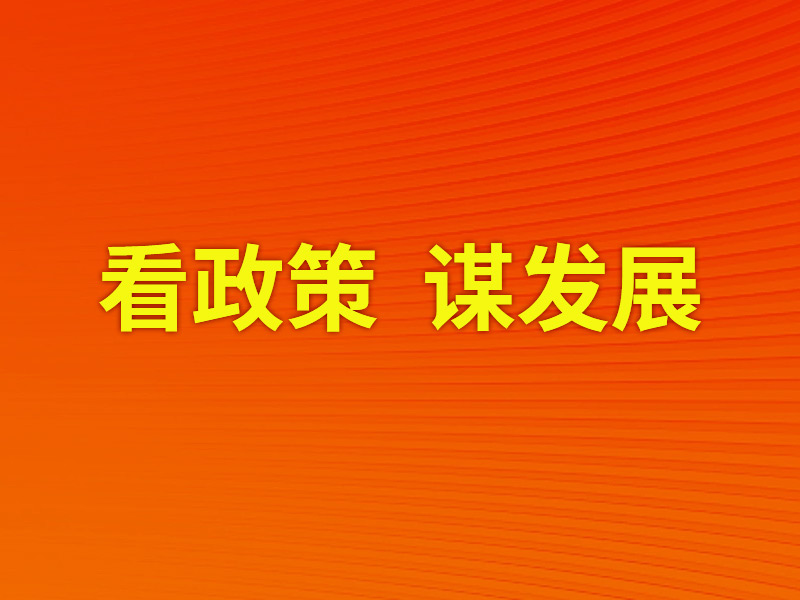 看政策，谋发展