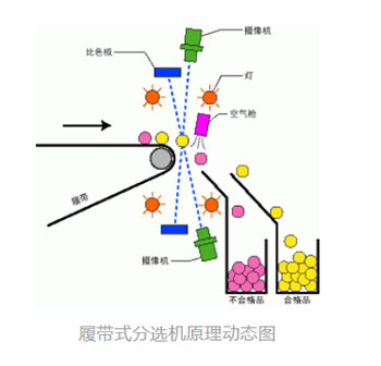 首页 | J9集团有限公司官网