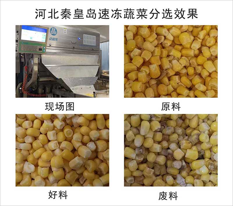 色选机|食品色选机|再生资源色选机|矿石色选机|履带色选机 色选机|食品色选机|再生资源色选机|矿石色选机|履带色选机