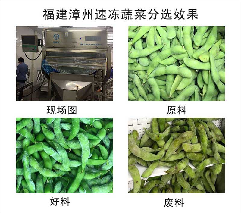 色选机|食品色选机|再生资源色选机|矿石色选机|履带色选机 色选机|食品色选机|再生资源色选机|矿石色选机|履带色选机