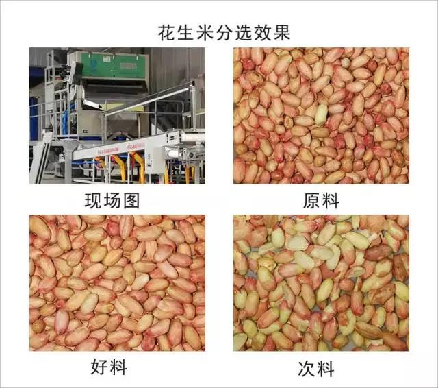 图片关键词