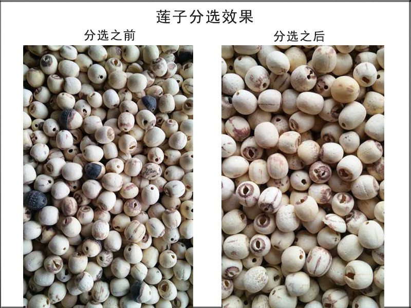 色选机|食品色选机|再生资源色选机|矿石色选机|履带色选机 色选机|食品色选机|再生资源色选机|矿石色选机|履带色选机