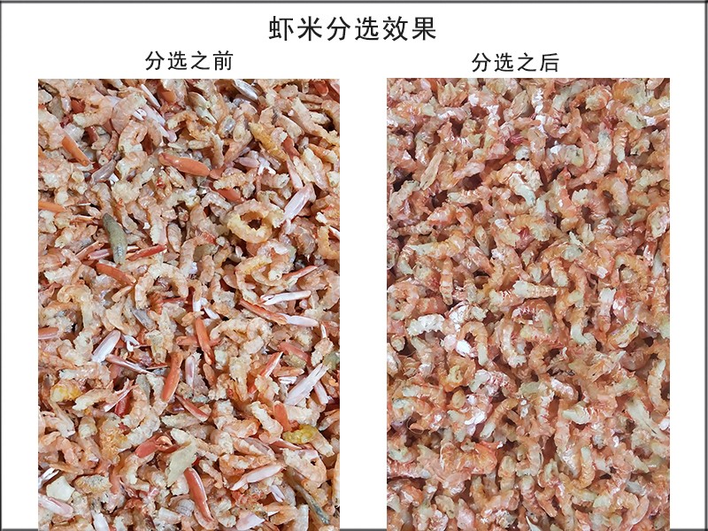 色选机|食品色选机|再生资源色选机|矿石色选机|履带色选机 色选机|食品色选机|再生资源色选机|矿石色选机|履带色选机