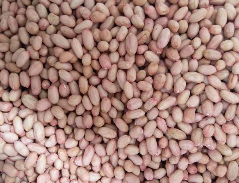 h花生米好料.jpg
