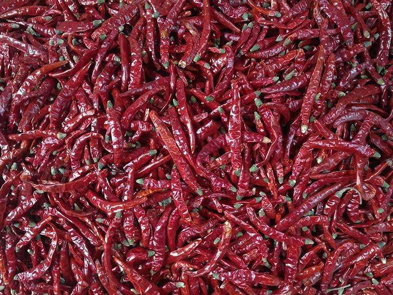 印度-辣椒-Sharma-5041处，辣椒选把，好料.jpg