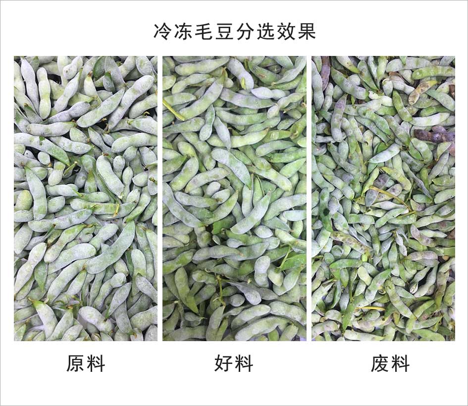 图片关键词 图片关键词